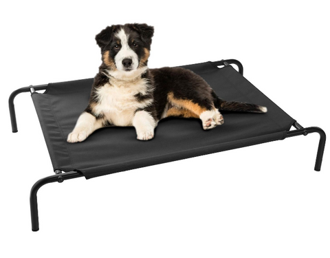 Sports Games &amp; Pets