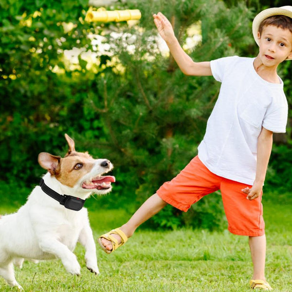 Dog Training Collar Wireless Fence Pet Beep Vibration Electric Shock Fence System 990FT Radius