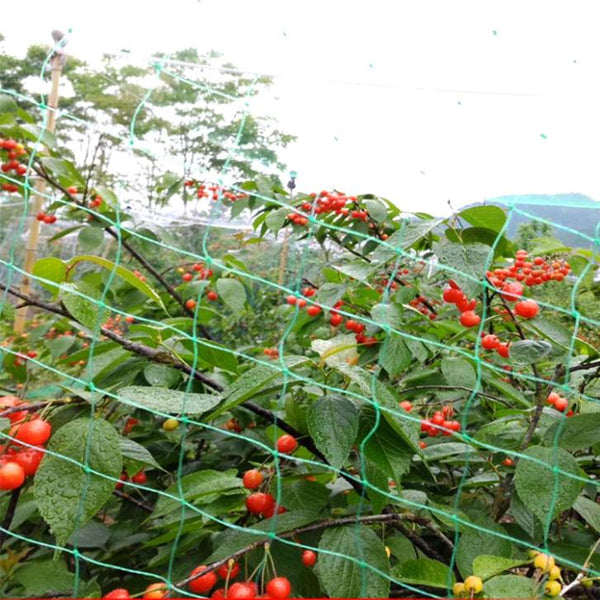 13x33ft Garden Anti Bird Animal Netting for Plants Fruits Tree Vegetables Protection Netting Net