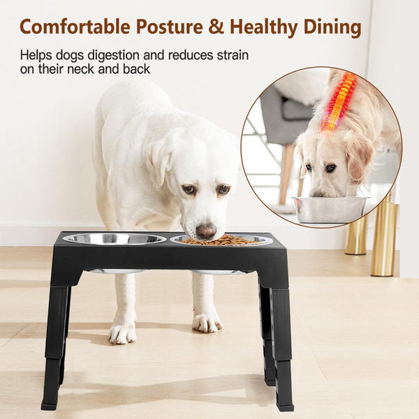 Dog Raised Bowls 5 Adjustable Heights Stainless Steel Elevated Foldable Double Bowl Dog Feeder