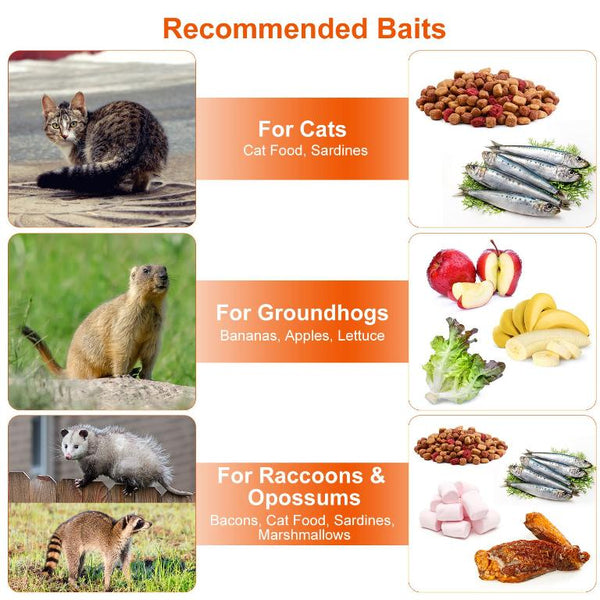 Humane Trap Cage Catch Release Live Small Animal Rodent Cage Collapsible Metal Wire