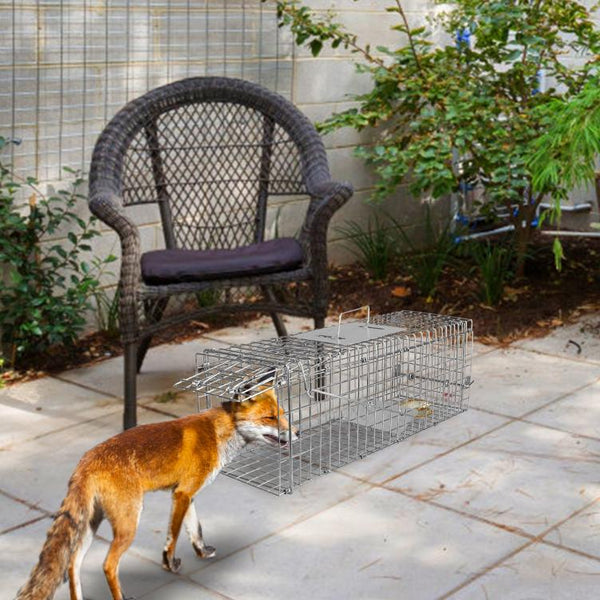 Humane Trap Cage Catch Release Live Small Animal Rodent Cage Collapsible Metal Wire