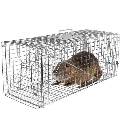 Medium Size Humane Trap Cage Catch Release Live Animal Rodent Cage Collapsible