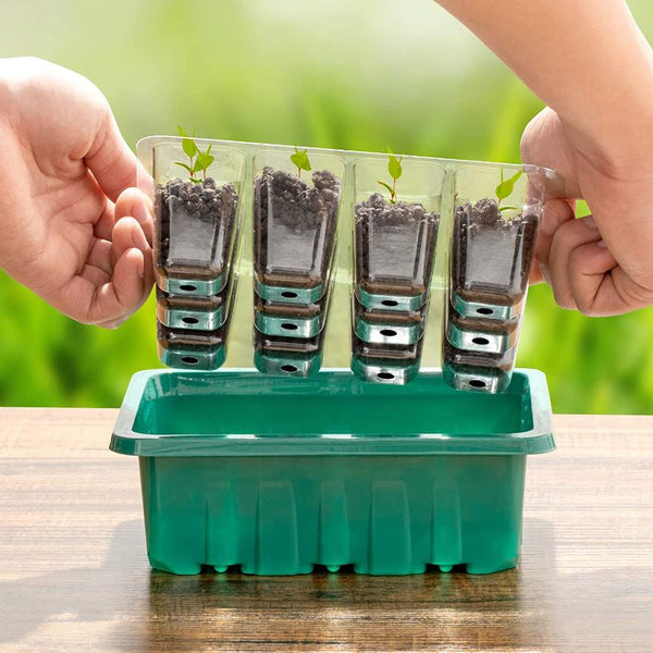 10Pcs Seed Starter Tray Kit Reusable Seeding Propagator Growing Germination Tray