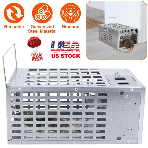 Humane Live Mouse Trap Reusable Metal Rat Rodent Cage Catch Release Pet Child Safe No Kill