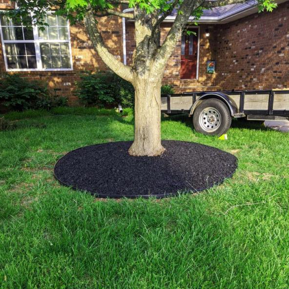 No-dig Landscape Edging Kit 32.8FT Plastic Garden Border 30 Stakes Flower Tree Beds