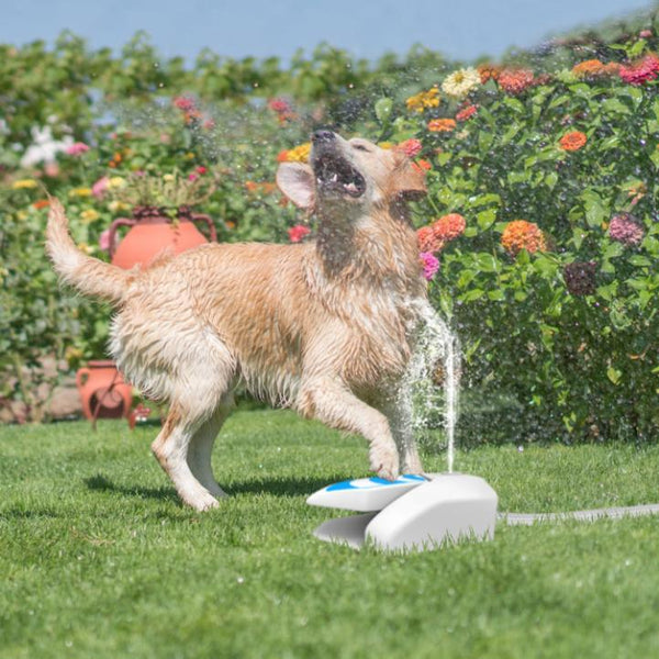 Outdoor Dog Water Fountain Dog Sprinkler Paw Push Drinking Step-on Hose System