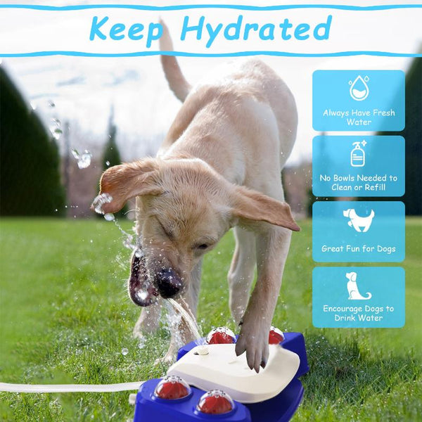 Step-on Activated Dog Water Fountain Automatic Pet Water Dispenser Sprinkler Drinking Shower