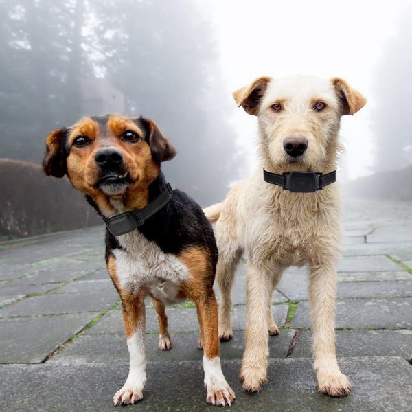 Dog Training Collar Wireless Fence Pet Beep Vibration Electric Shock Fence System 990FT Radius