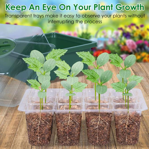 10Pcs Seed Starter Tray Kit Reusable Seeding Propagator Growing Germination Tray