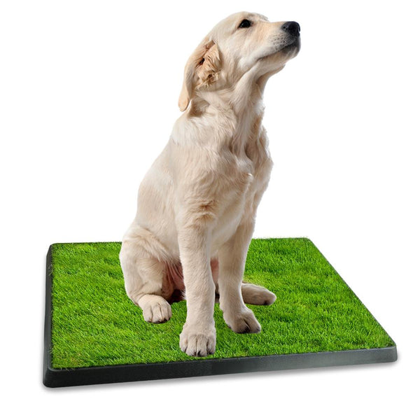 Dog Potty Training Artificial Grass Pad Pet Cat Toilet Trainer Mat Tray Turf Small Medium Dogs
