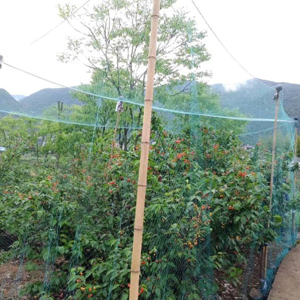 13x33ft Garden Anti Bird Animal Netting for Plants Fruits Tree Vegetables Protection Netting Net