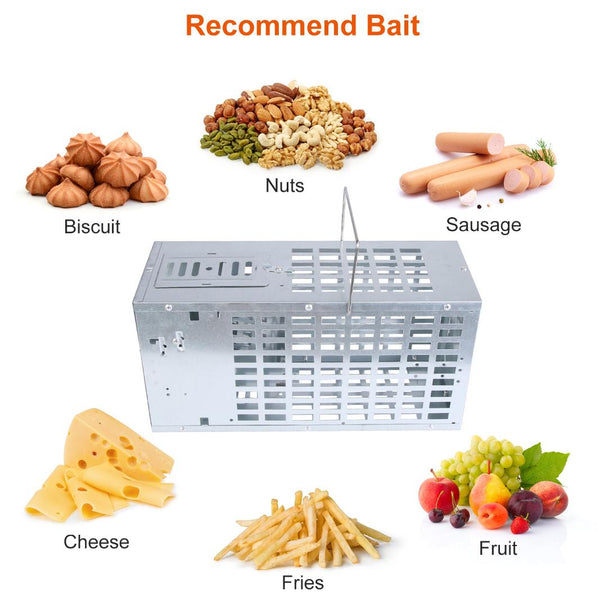 Humane Live Mouse Trap Reusable Metal Rat Small Rodent Cage Catch Release No Kill
