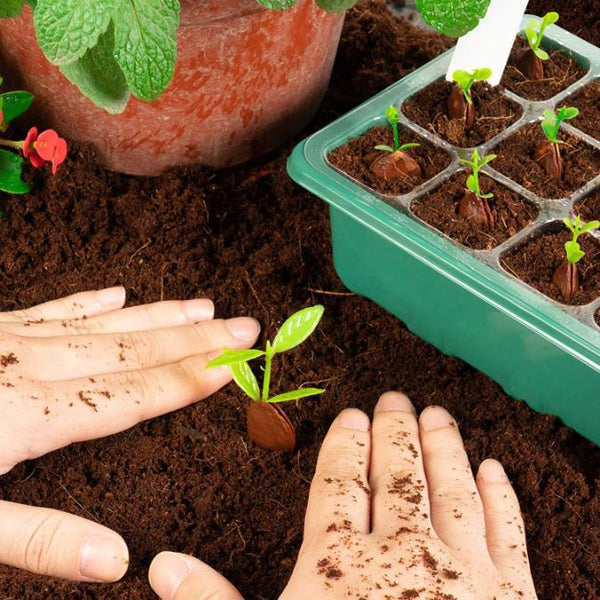 10Pcs Seed Starter Tray Kit Reusable Seeding Propagator Growing Germination Tray