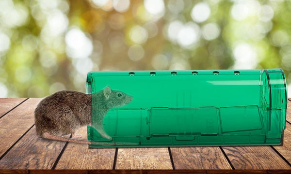 2Pc Reusable Humane Mouse Trap Live Catch Release Cage Animal Pest Rodent Capture