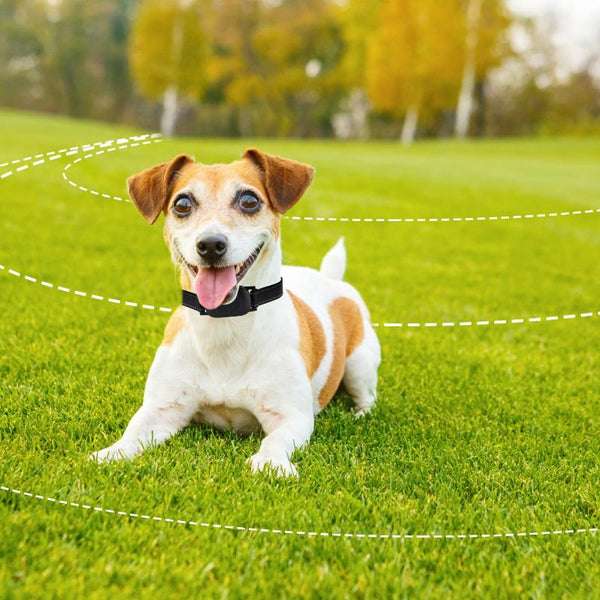 Dog Training Collar Wireless Fence Pet Beep Vibration Electric Shock Fence System 990FT Radius