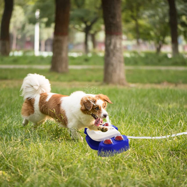 Step-on Activated Dog Water Fountain Automatic Pet Water Dispenser Sprinkler Drinking Shower