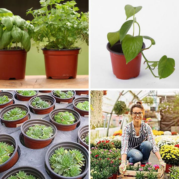 100Pcs Plastic Plant Nursery Pots Garden Seedlings Flower Container Seed Starting Pots 100mm 3.94in