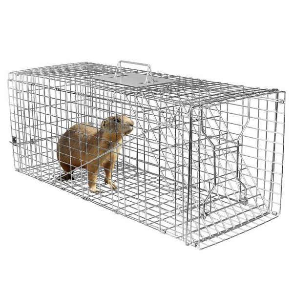 Medium Size Humane Trap Cage Catch Release Live Animal Rodent Cage Collapsible