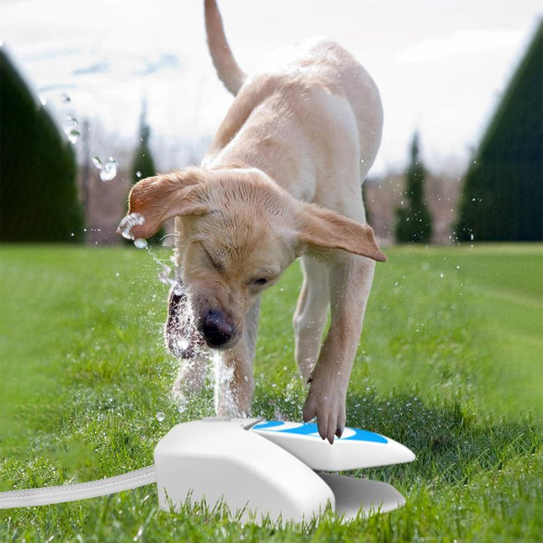 Outdoor Dog Water Fountain Dog Sprinkler Paw Push Drinking Step-on Hose System