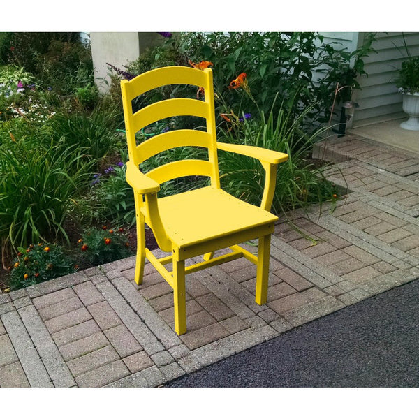 Ladderback Dining Chair HDPE Poly Plastic - Buy Online at dailyhubess.shop