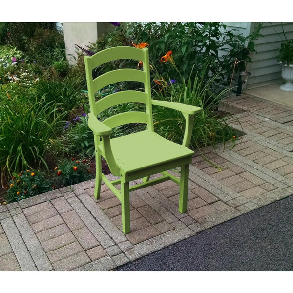 Ladderback Dining Chair HDPE Poly Plastic - Buy Online at dailyhubess.shop