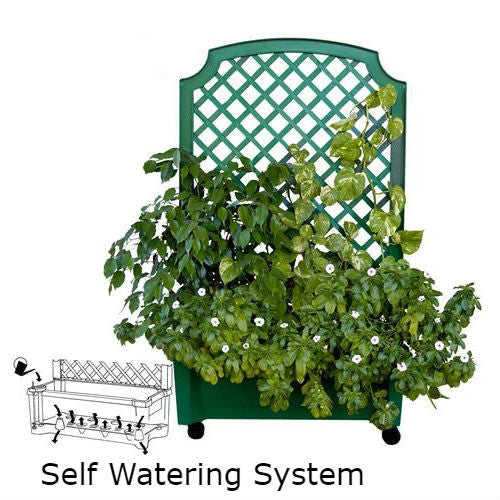 Indoor/Outdoor Wheeled Trellis Planter Green Polypropylene