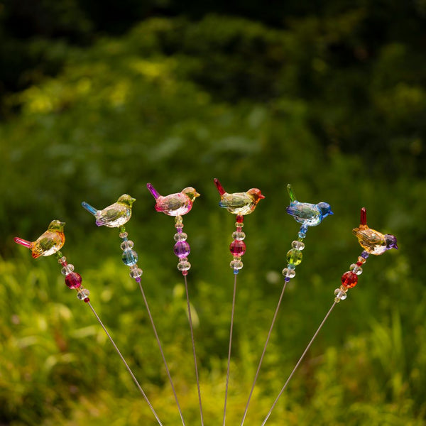 Tall Five Tone Acrylic Pot Stakes in 6 Assorted Colors