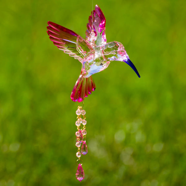 Hanging Acrylic Bird Chain & Ornaments | Over 20 Designs!