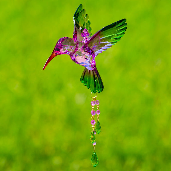 Hanging Acrylic Bird Chain & Ornaments | Over 20 Designs!