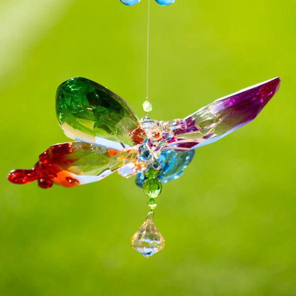 Hanging Acrylic Bird Chain & Ornaments | Over 20 Designs!