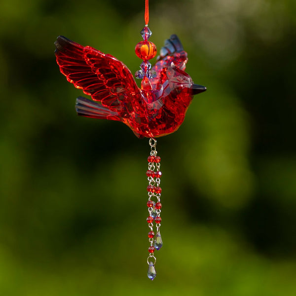 Hanging Acrylic Bird Chain & Ornaments | Over 20 Designs!