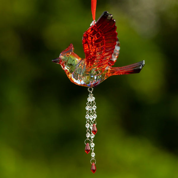 Hanging Acrylic Bird Chain & Ornaments | Over 20 Designs!