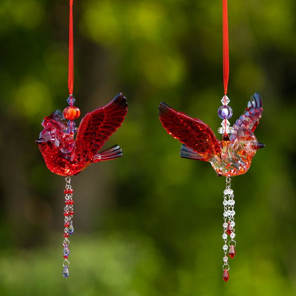 Hanging Acrylic Bird Chain & Ornaments | Over 20 Designs!
