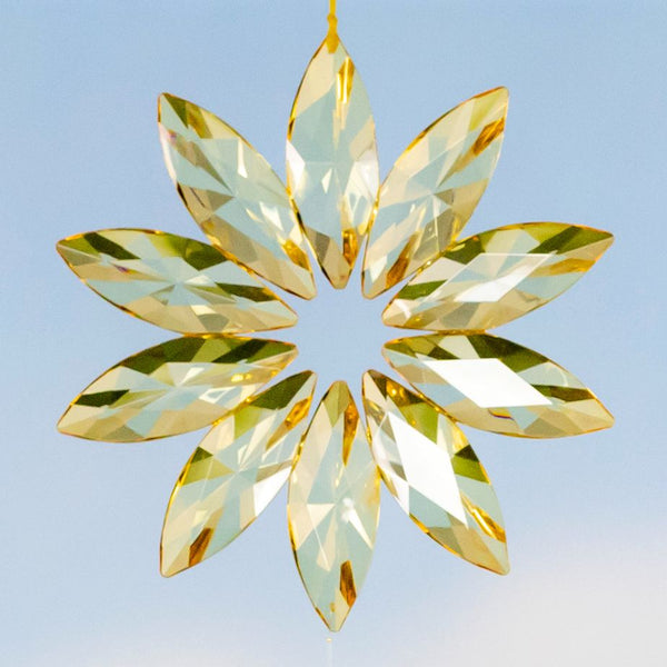 Hanging Acrylic Bird Chain & Ornaments | Over 20 Designs!