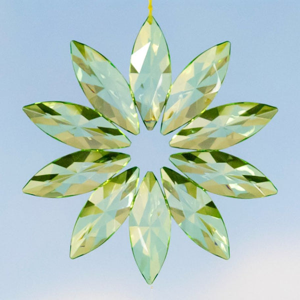 Hanging Acrylic Bird Chain & Ornaments | Over 20 Designs!