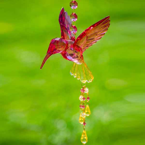Hanging Acrylic Bird Chain & Ornaments | Over 20 Designs!