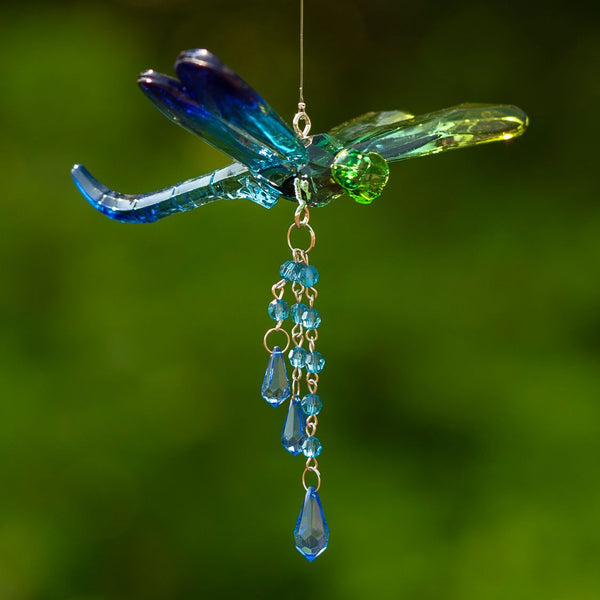 Hanging Acrylic Bird Chain & Ornaments | Over 20 Designs!