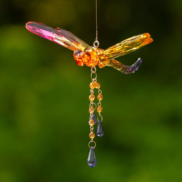 Hanging Acrylic Bird Chain & Ornaments | Over 20 Designs!