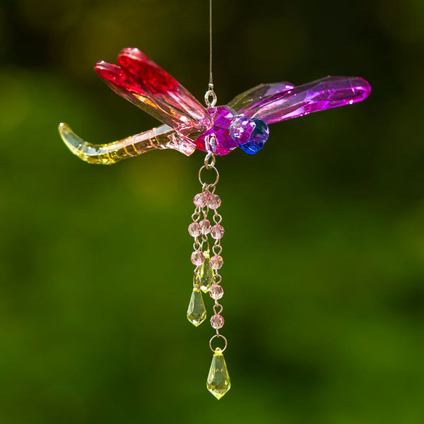 Hanging Acrylic Bird Chain & Ornaments | Over 20 Designs!