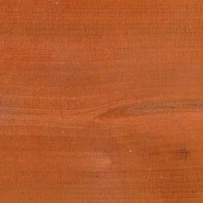 2 Foot Royal English Chair Any Color Pine - Buy Online at dailyhubess.shop