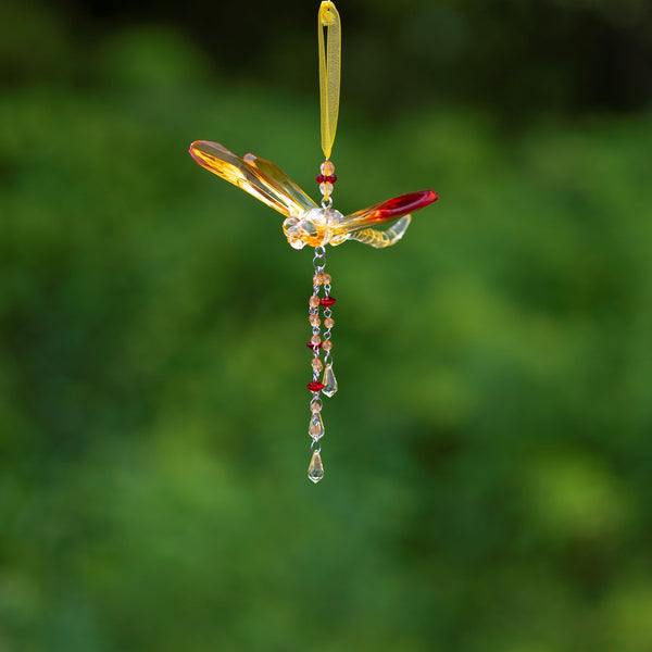 Hanging Acrylic Bird Chain & Ornaments | Over 20 Designs!