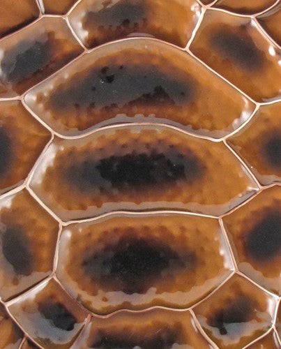 Large Iron Turtle Garden Flat Stake