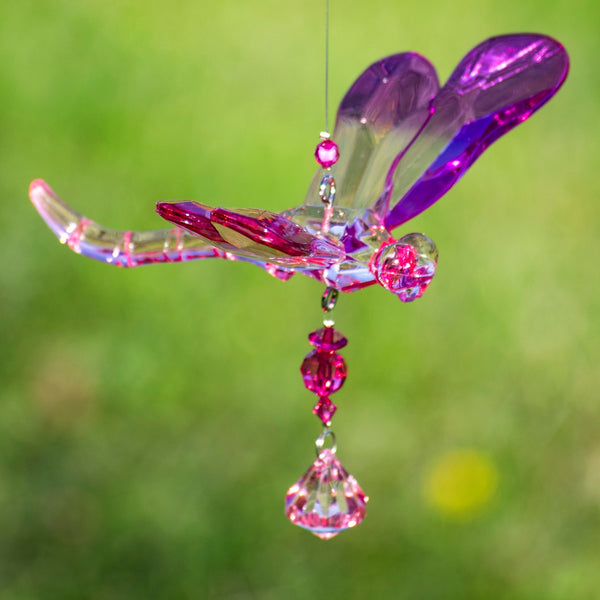 Hanging Acrylic Bird Chain & Ornaments | Over 20 Designs!
