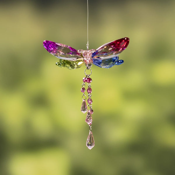 Hanging Acrylic Bird Chain & Ornaments | Over 20 Designs!