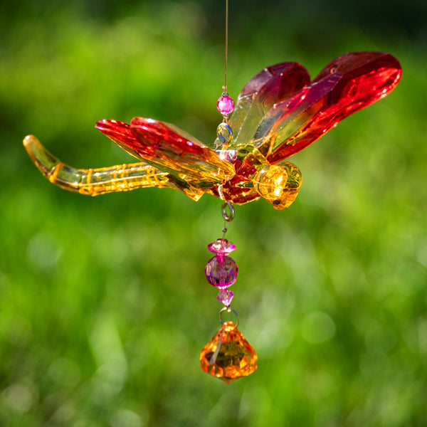 Hanging Acrylic Bird Chain & Ornaments | Over 20 Designs!