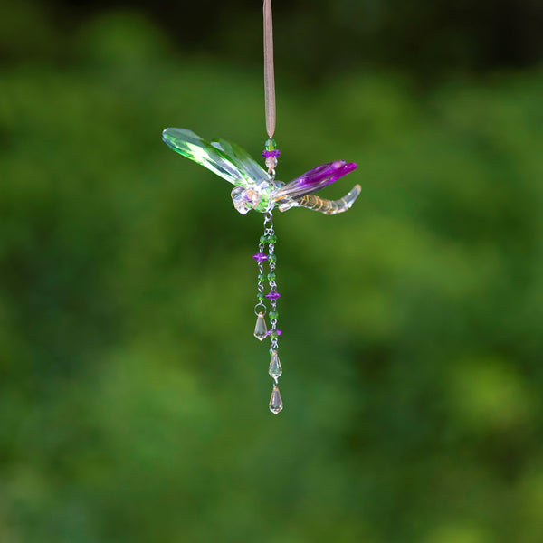 Hanging Acrylic Bird Chain & Ornaments | Over 20 Designs!