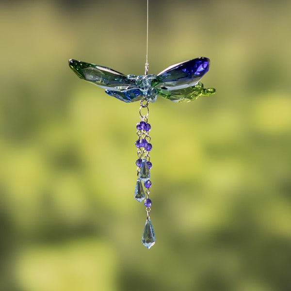 Hanging Acrylic Bird Chain & Ornaments | Over 20 Designs!
