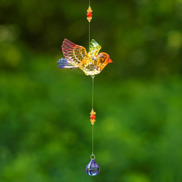 Hanging Acrylic Bird Chain & Ornaments | Over 20 Designs!