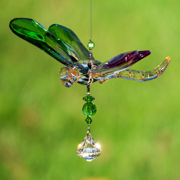 Hanging Acrylic Bird Chain & Ornaments | Over 20 Designs!